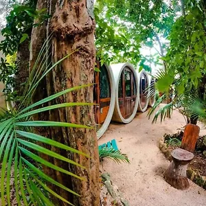 Hostel Tubo 